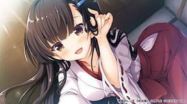 Image 9 | 神様のしっぽ ～干支神さまたちの恩返し～ | View Image!