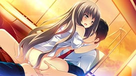 Image 13 | この大空に、翼をひろげて FLIGHT DIARY | View Image!