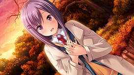 Image 14 | 見上げてごらん、夜空の星を FINE DAYS | View Image!