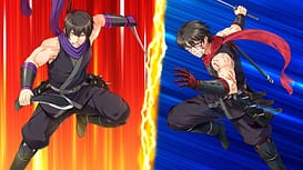 Image 9 | 乱れ雪月華 ～儚く散る細雪～ | View Image!