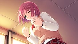 Image 8 | 春季限定ポコ・ア・ポコ! | View Image!