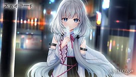 Image 1 | スカイコード | View Image!