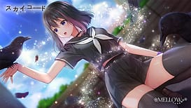 Image 2 | スカイコード | View Image!