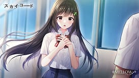 Image 6 | スカイコード | View Image!