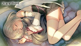 Image 7 | スカイコード | View Image!