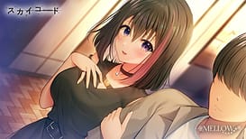 Image 9 | スカイコード | View Image!