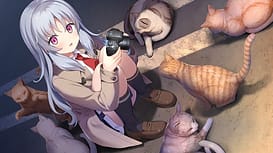 Image 5 | 海と雪のシアンブルー | View Image!