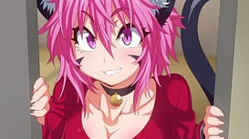 Image 16 | けものっ娘通信～The Animation～ 猫娘ニア | View Image!