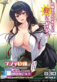 Tsundere na Ane ga Shitsukoku Karande Kurunode Mushi Shite Itara Ikinari Osowareta Ken ni Tsuite -Demo Nande SM Play | View Image!