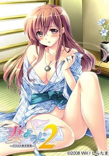 Cover / Tsuma Youji 2 -Boku wa Hitozuma Tenjouin / 妻ようじ2~ボクは人妻添乗員~ | View Image!