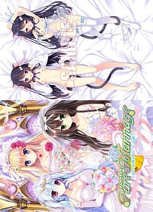 Cover / Pure Marriage -Akai Ito Monogatari - Harem Hen / Pure Marriage ~赤い糸物語 ハーレム編~ | View Image!