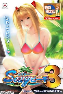 Cover / Sexy Beach 3 - English / Sexy ビーチ3 | View Image!