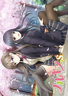 Cover / Full Kiss S / フルキスS | View Image!