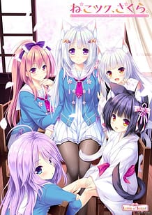 Cover / Nekotsuku Sakura / ねこツク、さくら。 | View Image!