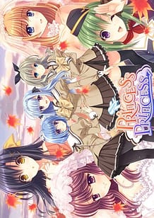 Cover / Princess x Princess / Princess×Princess 豪華限定版 | View Image!