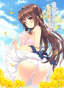 Cover / Hokenshitsu no Sensei to Koakuma na Kaichou / 保健室のセンセーと小悪魔な会長 / View Image!