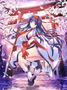 鏡界上のフラグメント～アマテラス編～ | View Image!