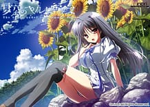 夏空のペルセウス | View Image!