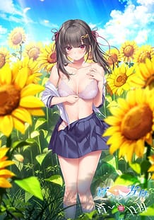 夏への方舟Ⅲ | View Image!