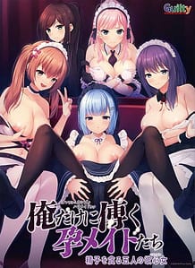 俺だけに傅く孕メイドたち ～精子を貪る五人の欲心女～ | View Image!